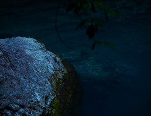 001