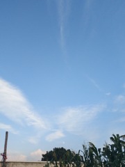 1000003186