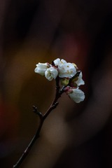 1000125401