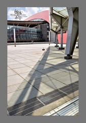 DSC_9.jpg