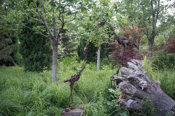 R0017264