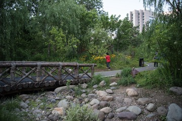 R0017184