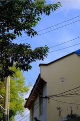 1000108454