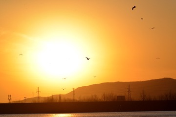 DSC_6666_