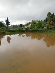 4457524