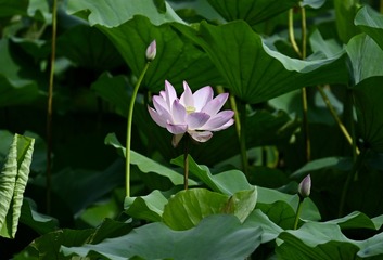 001