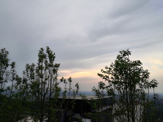 2804559