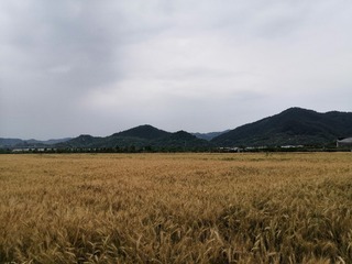 2804763