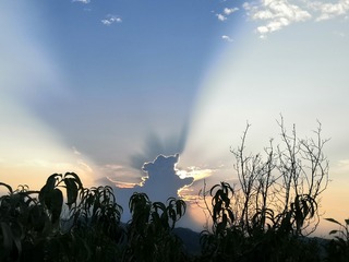 2683130