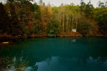 IMG_9319.jpg
