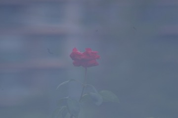 4980799