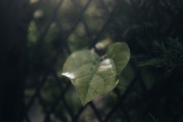 1000007829