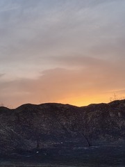 1000107512
