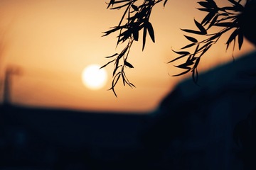 408034