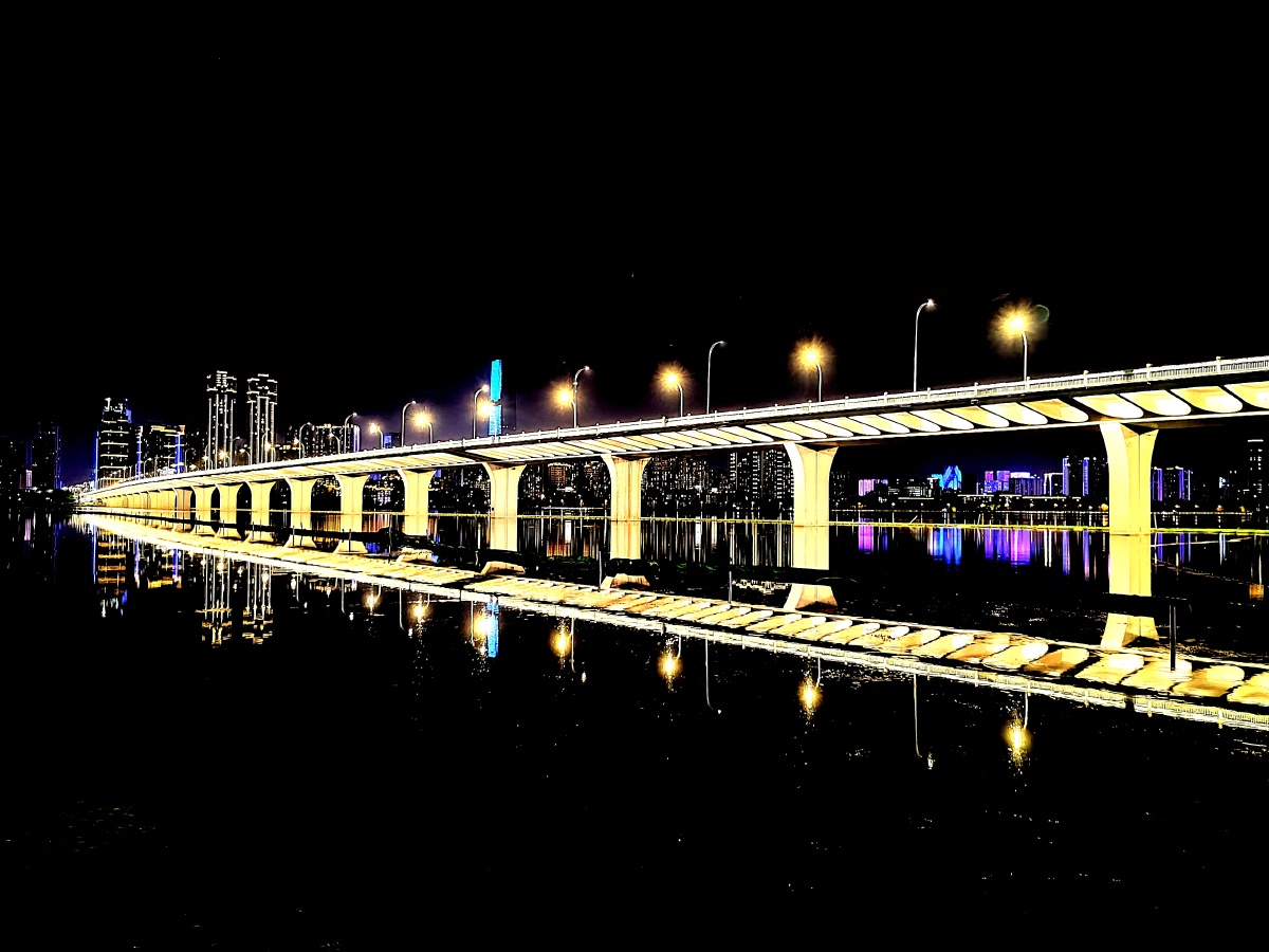 夜幕下的武汉沙湖大桥