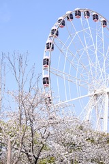19043