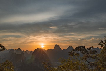 1000015313