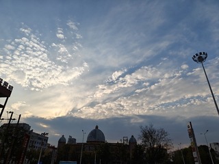 1000016660