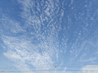 1000032829