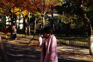 IMGP0561.jpg