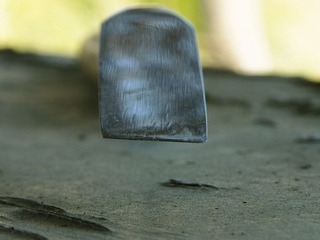 _A010245.jpg