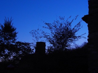 PA01032jj.jpg