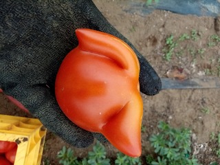 4820