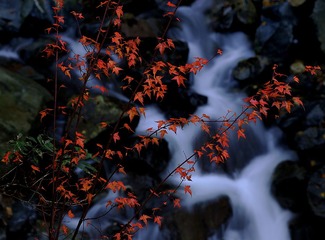 _XQP0839