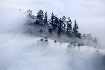 _XQP12321311061705