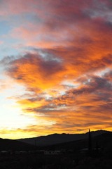 _DSC6016.JPG