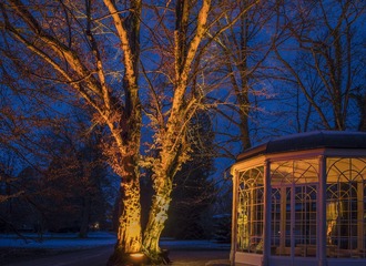 _DSC1465_