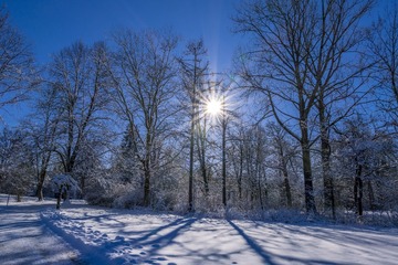 _DSC1514_