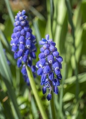 _DSC1749_