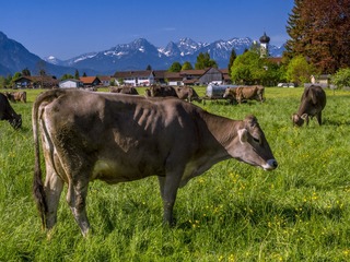 _DSC1763_