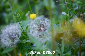 1000040179