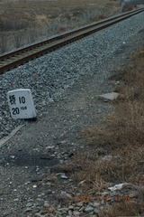 29826