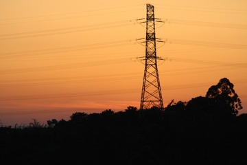 1000016675