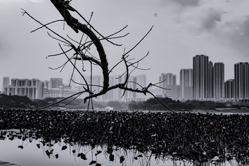 179618