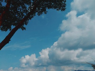 59