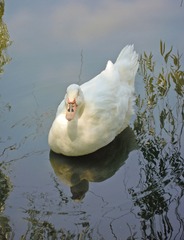 87538