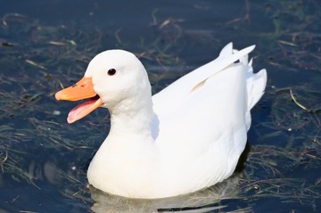 705191
