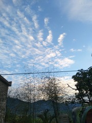 1216559