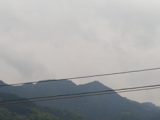 1183384