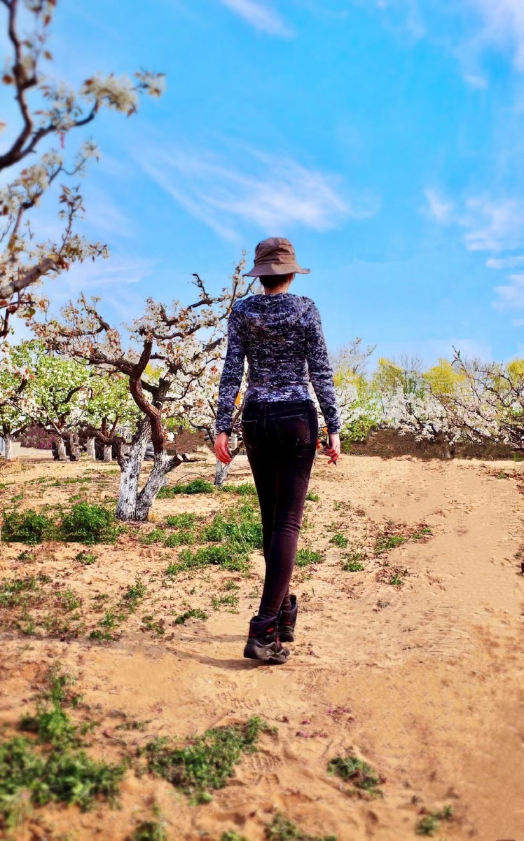 背影杀手出没,梨花开