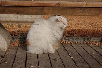 1331