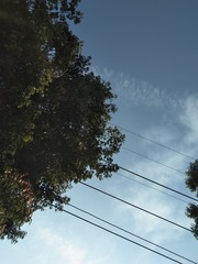 375489
