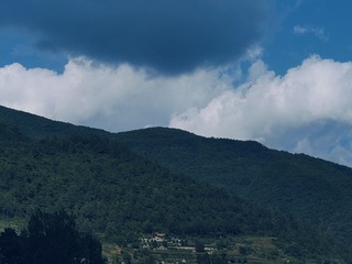 1000013494