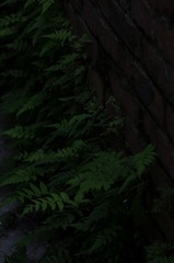1000027792
