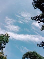 168619