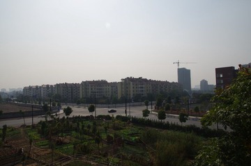 IMGP0002.JPG